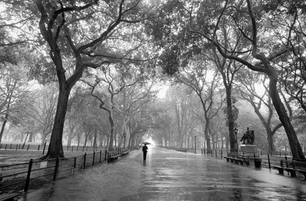 Fototapete Poet's Walk  - Allee im Regen - schwarz wei&szlig; sw