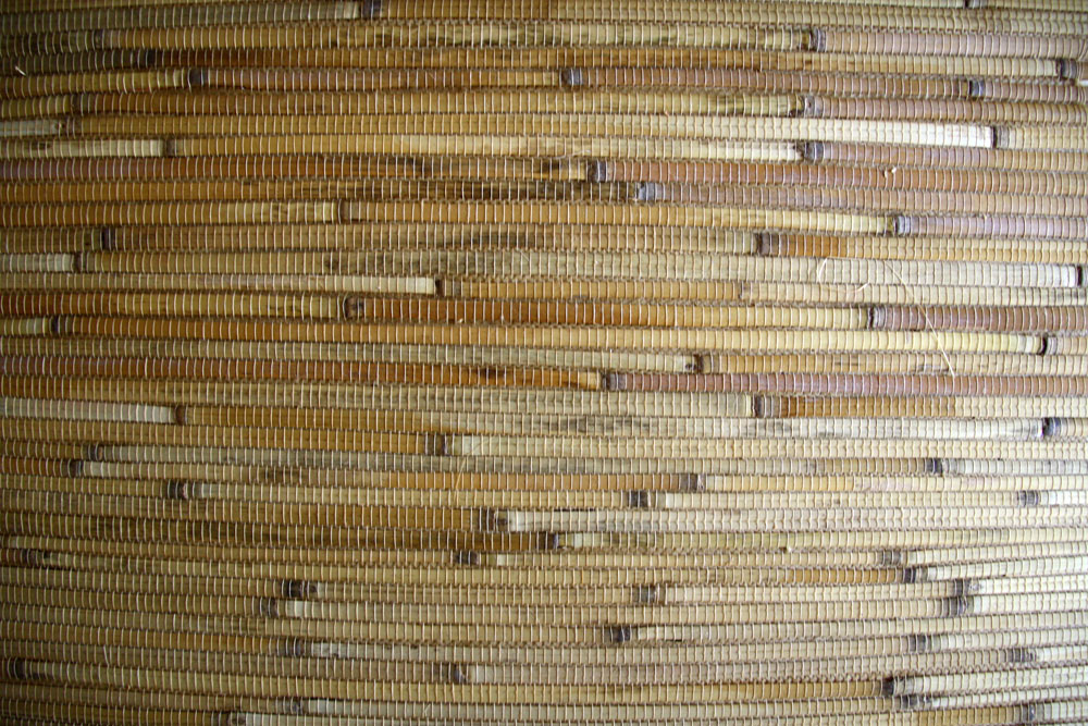 bambus kaufen berlin
