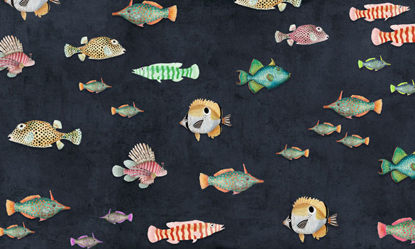 Fotodruck Tapete Wallpepper Aquaticus bunte Fische auf schwarz aus Berlin online bestellen