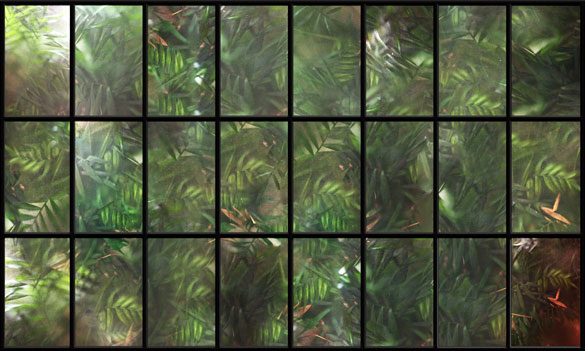 Fotodruck Tapete Wallpepper The world outside Dschungel grün aus Berlin online bestellen