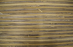 Gras Tapete 9 Bambus Tapeten online kaufen