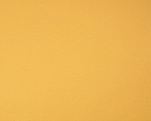 Vliestapete gelb beige glatt Uni Farben 526526 kaufen
