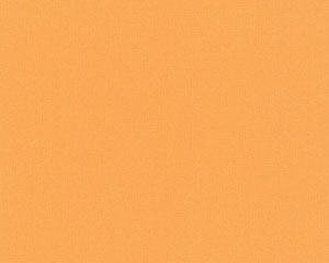Vliestapete orange glatt Uni Farben 589125 kaufen