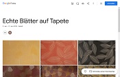 Tapeten: echte Blätter auf Tapete