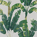 Tapeten USA York Palmen aus Berlin online kaufen