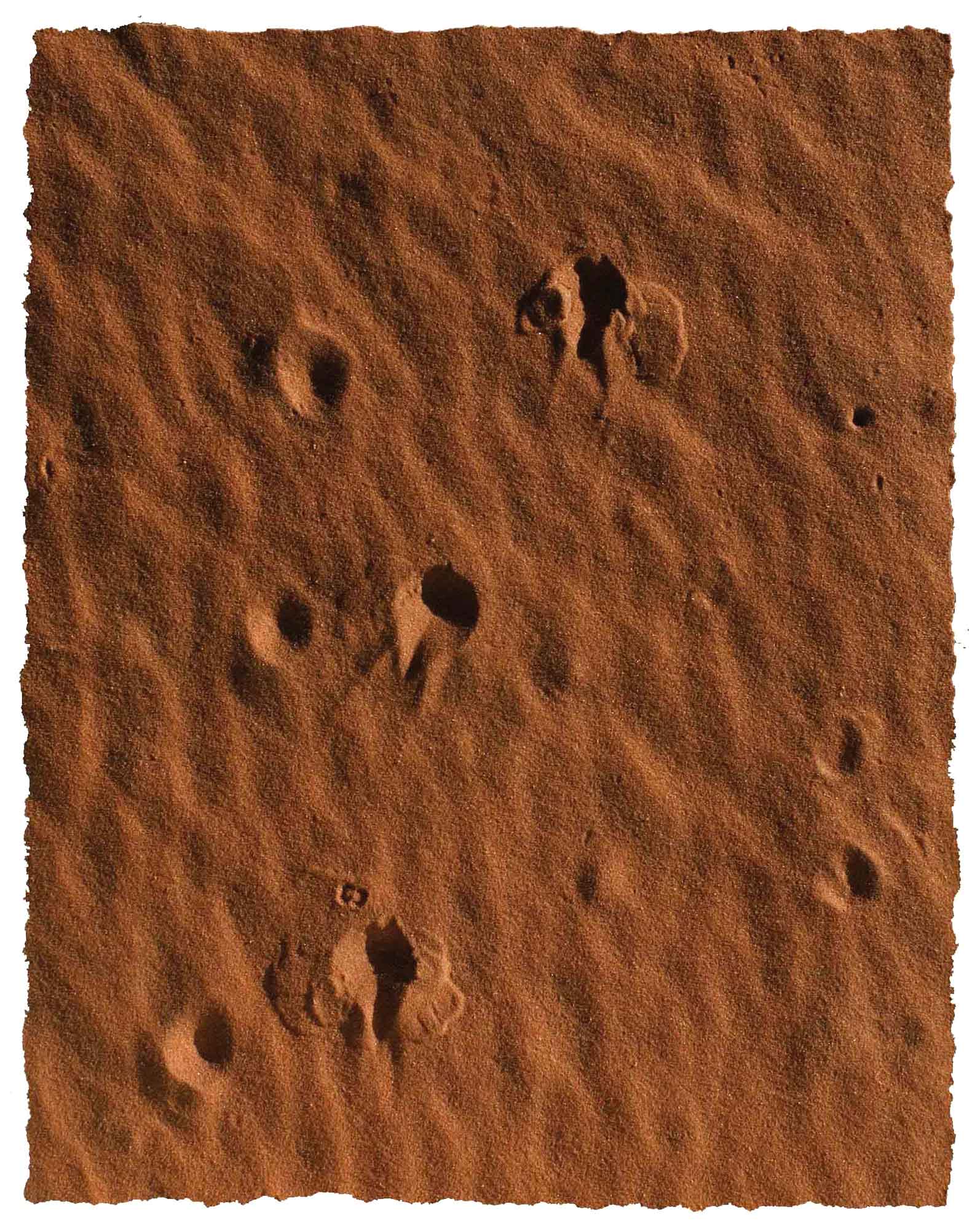 Sand Tapete online kaufen