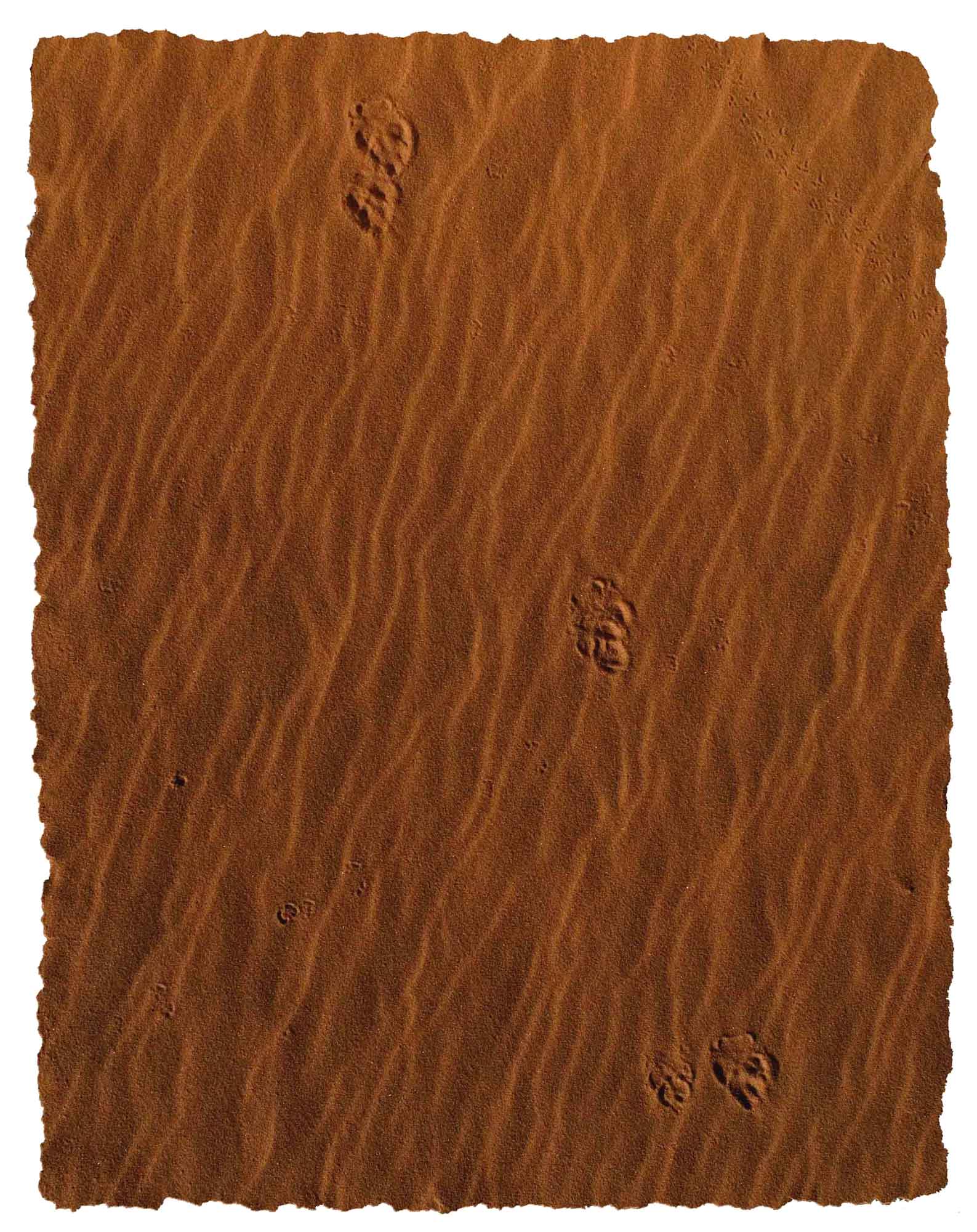 Sand Tapete online kaufen