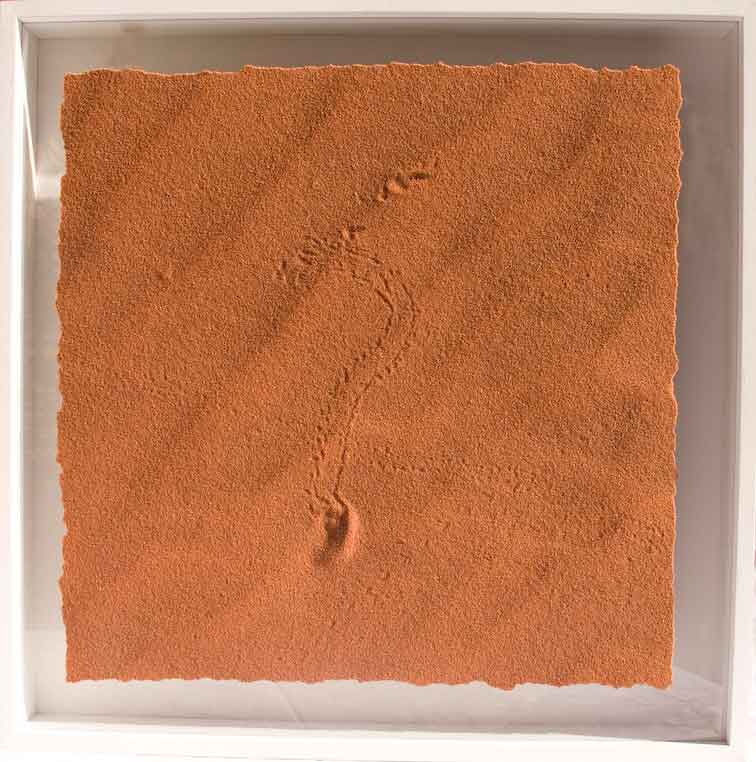 Sand Tapete als Wandbelag online kaufen