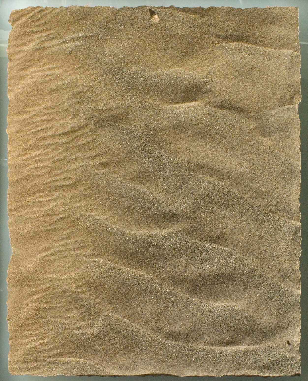 Sand Tapete als Wandbelag online kaufen